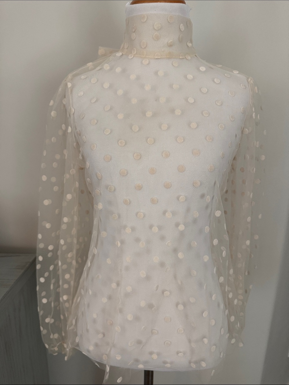 Banana Republic BEAUTIFUL Sheer Polka Dot Long Sleeve Mock Neck Top, sz XS